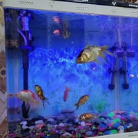 حوض لبيع حجم ٤٦ سنتيم مع ملحقتيها كامل رقم الهاتف 07701285138