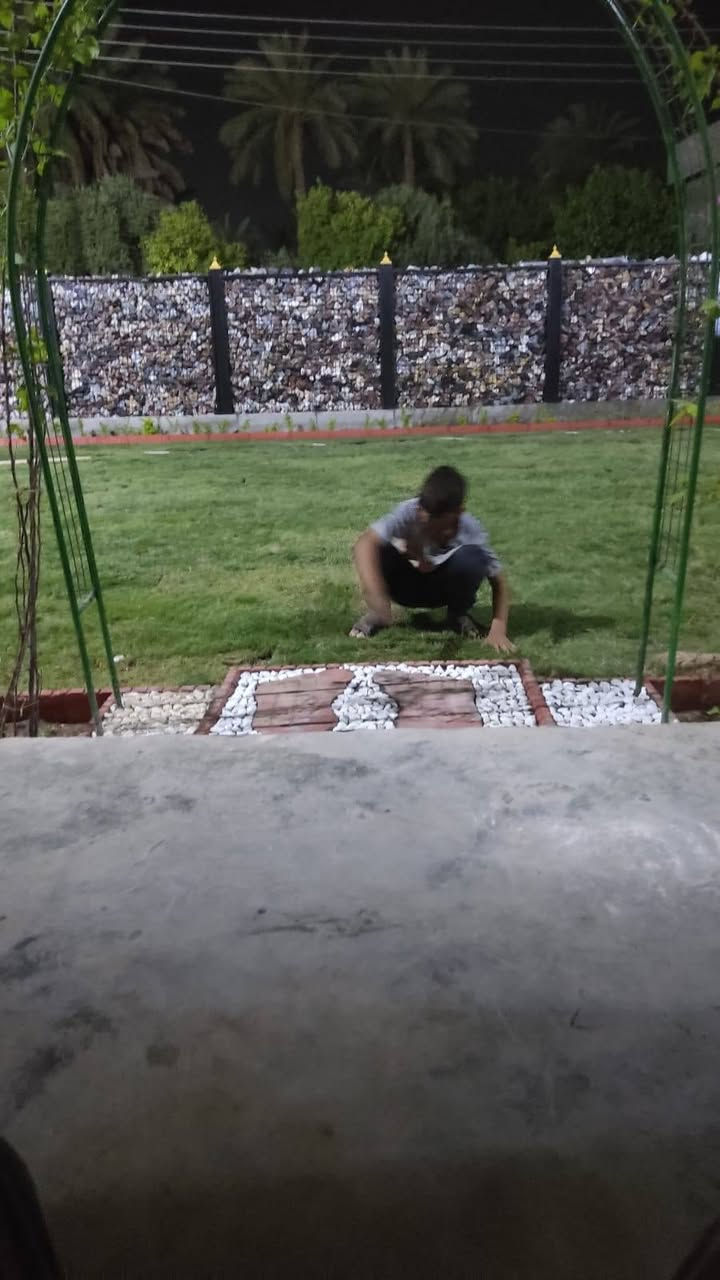 مزارع الثقة التجهيز كافت دواءر الدولة والمنازل ولمتنزهات يوجد توصيل لجميع امحافضات العراق بسعار مرضية.  ***********
