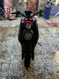 سكنس جبلي • معدل • نازلها١٣