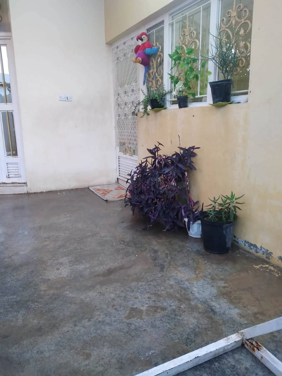 بيت للبيع خانقين بختياري اول قرب الملعب الخماسي ٢٠٠م سيراميك نظيف جدا غرفتين نوم استقبال هول داخلي مطبخ الكاونتر مع البيت سعره ٣٢ وبي مجال هذا رقمي ***********
