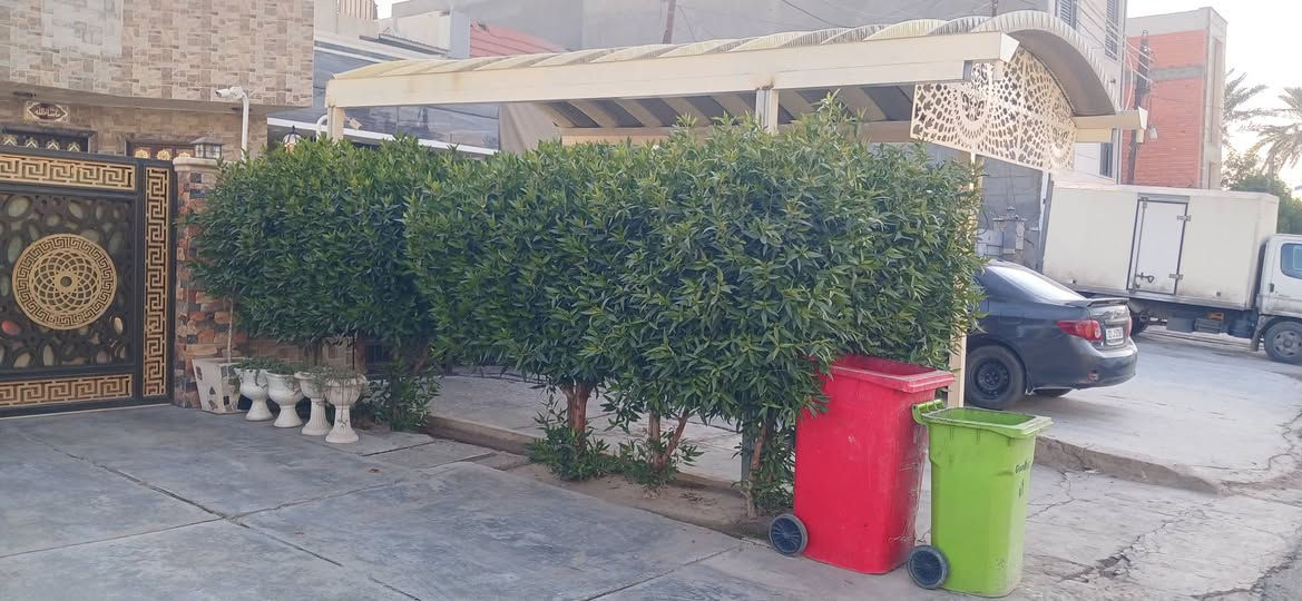 بسم الله ومنه التوفيق✨
 بعض من عملي  في منطقه #العامريه 
قبل وبعد العمل هاذ النتيجه ولله الحمد 🌳 
🌿 حارث الفلاح – خدمات الحدائق في بغداد 🌿

نقدّم جميع خدمات الحدائق  للمدارس والمنازل والمزارع:

قص وتنظيف الحدائق 🌱

تقليم الأشجار والشجيرات ✂️

ترتيب وزراعة الورود 🌸

قص الثيل الطبيعي  🍃

تهوية التربة وتجهيزها للزراعة 🌾

✨ شغل نظيف – أسعار مناسبة – التزام بالمواعيد

📞 للحجز والاستفسار:
*********** يتوفر  واتساب.
