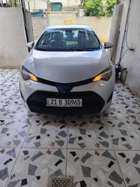 ضرر بونيت • ٢٠١٩ • كركوك