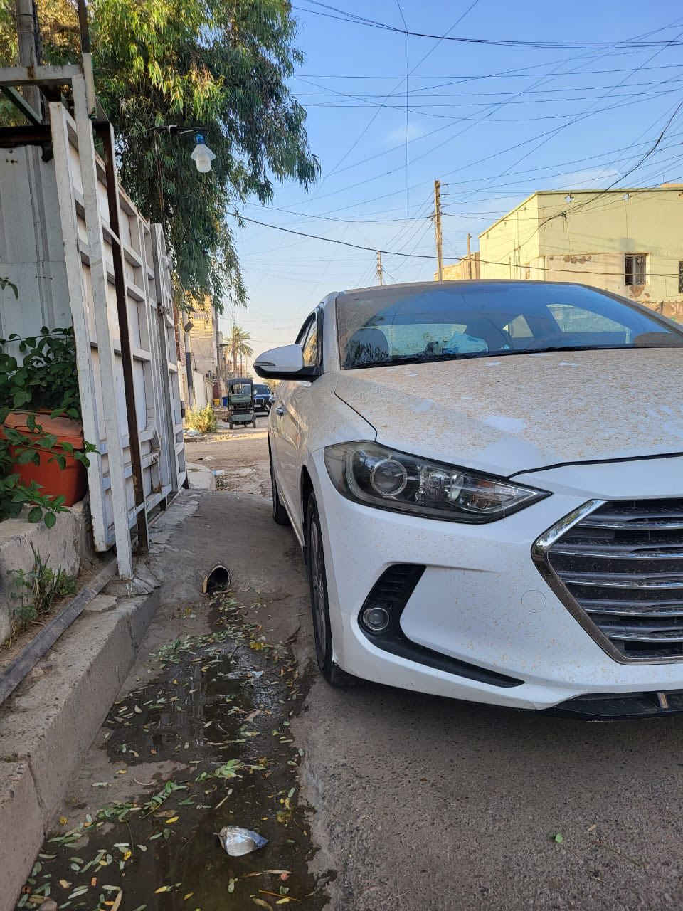 سلام عليكم النتره موديل 17 سياره خليج سياره مكفوله بس عندي صبغ قبق جنطه وأقل شبر بل جاملغ  الخلفي وسياره كامله من كل نقص بسمي تحويل ثاني يوم رقم بغداد سعره137 وبيه مجال شي بيسط معجبك منشور اعبره  مكاني بل البياع 
وهذا رقمي اتصال وبل خدمه

0772 369 9508
