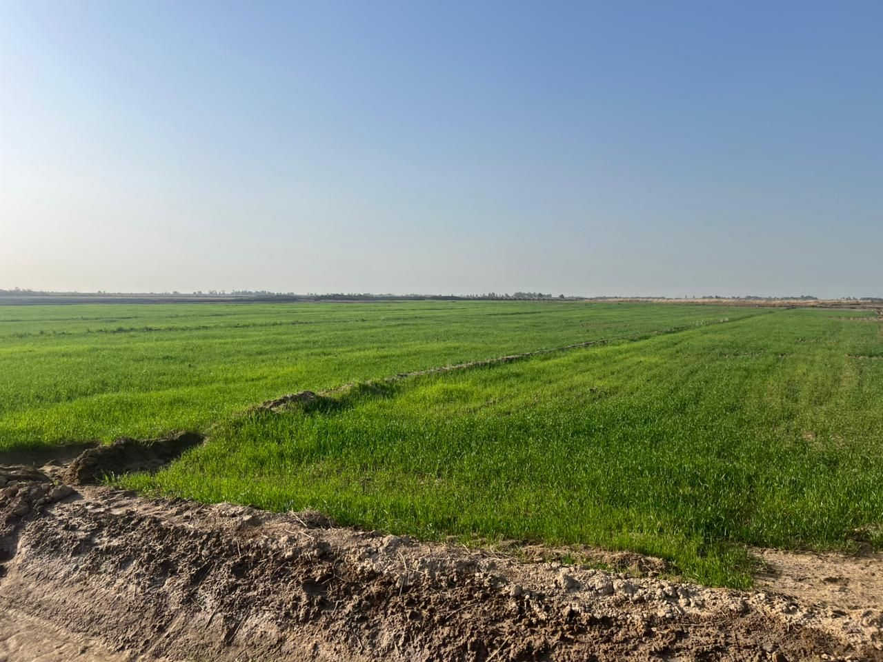 ارض زراعيه للبيع تفاصيل اتصال ع رقم هاتف ***********
