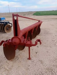 قرصي • صوج وبولبرنات جدد • تل كصيبه