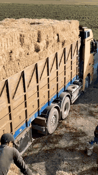 07733742486 07838955614