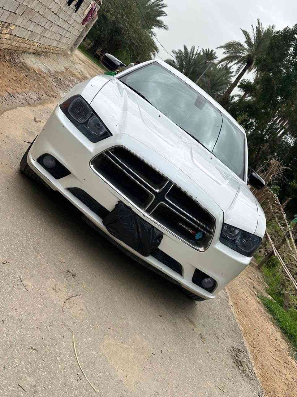 جارجر ادوات ادوات 2014خليجي كفاله عامه كص ونتر بول وعشائر . للمورواس بصولي
ادوات ادوات بدون كص 🚧

داخل عسلي غرفتها بل جيس 
كير طياره 8 نمر
مكينه ٣٦٠٠⛽️
مكينه وكير وكسل كفاله🪝
حداديه ١٠٠/١٠٠طسته فول نعومه. 🛸
تخم تاير جديد🛞
ويل خليجي   المرغوب🛞
تبريد قطعتين ثلج🧊
كهربائيات كله شغاله🚦
انضمت قياده 🎠
كشن كهربائي👍🏻
داخل نضافه ١٠٠/١٠٠🧿
كشر موس سياره لا مهودله  نضافه ١٠٠/١٠٠لا زلوغ ولا شي /
سياره جاهزه خير من الله الف ما ذب عليه👍🏻
بيه شلعه وبطناش تاكل التبليط 🧿

مكان سياره ميسان🌹
السعر 69 وذا اكو مرواس بصولي احسن


**إذا كنت صاحب هذا الإعلان وتريد حذفه لأي سبب، رجاءا أرسل رسالة إلى الدعم الفني**