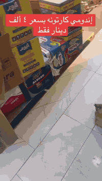 محلات هيثم وحيدر للعروض فرع بسماية قرب مدارس عشتار الاهلية قرب علوة سيد حسن ع الشارع التجاري قرب عقار الرافدين لاستفسار الاتصال على الرقم ***********  📞☎️📱
لاتوجد خدمه توصيل حاليا 🥰 
العرووض حلوة اسعار مناسبه جدااا 🌹
روحو وشوفوا الاسعار اتخبل كولش رخيصة ولااكسباير لا ابدد لاتفوتون الفرصة استغلو العرووض حلوة 😋🥰
عرووض تحطيييم الاسعار 💐🌹🌟🌟
