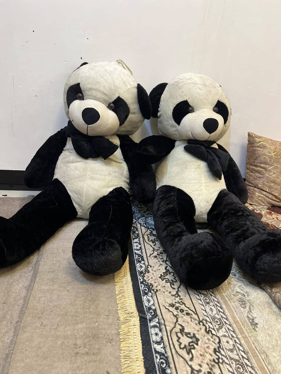 مرحبا عندي هذني باندا ثنين للبيع الواحد ب١٥ابيعه حجمهم كبير ونظيفات


**إذا كنت صاحب هذا الإعلان وتريد حذفه لأي سبب، رجاءا أرسل رسالة إلى الدعم الفني**