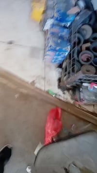 الحله النزيزه • جسر سيف سعد • بيجو