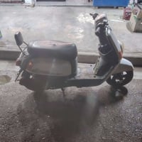 ماكس بوليسي • سلف • كفاله