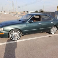 بطة ٩١ • مصبوغه • كربلاء