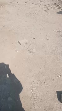 الضباط الثانية • ١٠٠م • فيديو