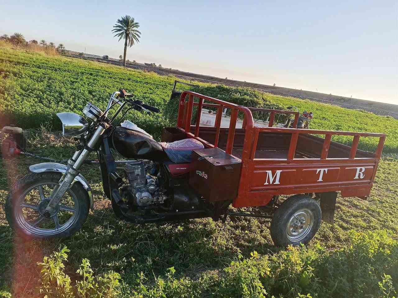 ستوته للبيع معمره تعمير كامل نكره صلف اوراق كمرك كلها جاهزه
950وبيه مجال قليل  مكانها صقلاويه حويوه 
 ***********
