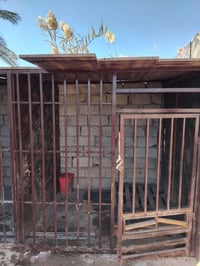 لببع تفاصيل خاص الرقم 07759685906