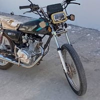 تايگر • جبلي • ٤گير