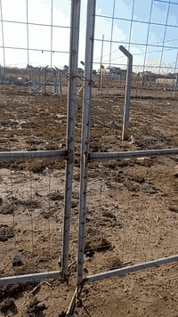 السلام عليكم عندي دونم بلحميديه زراعي 2000م الواجهه 100م والنزال 20م يم الساده الطوال سيد نعمه وسيد ناصر القريه ايصير ركن على فرعيبن يبعد عن الشارع العام 300م امسيج بي ارسي ودنك صب داير مايدور مي خطين كهرباء خطين بناء مسموح وجاي ناس تبني النزله مال الطاقه الكهربائيه وتنزل سعر 60م وبي مجال ***********. ***********
