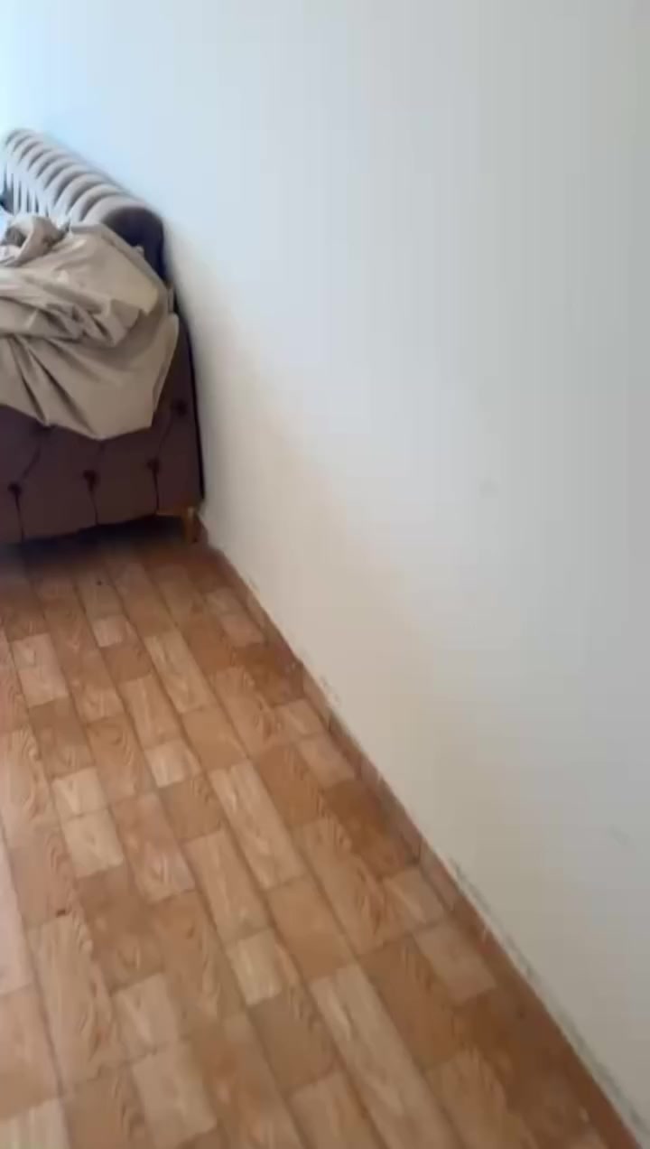 ٨ مقاعد مبي ضرر سعره ٤٠٠  مكان بغداد


**إذا كنت صاحب هذا الإعلان وتريد حذفه لأي سبب، رجاءا أرسل رسالة إلى الدعم الفني**