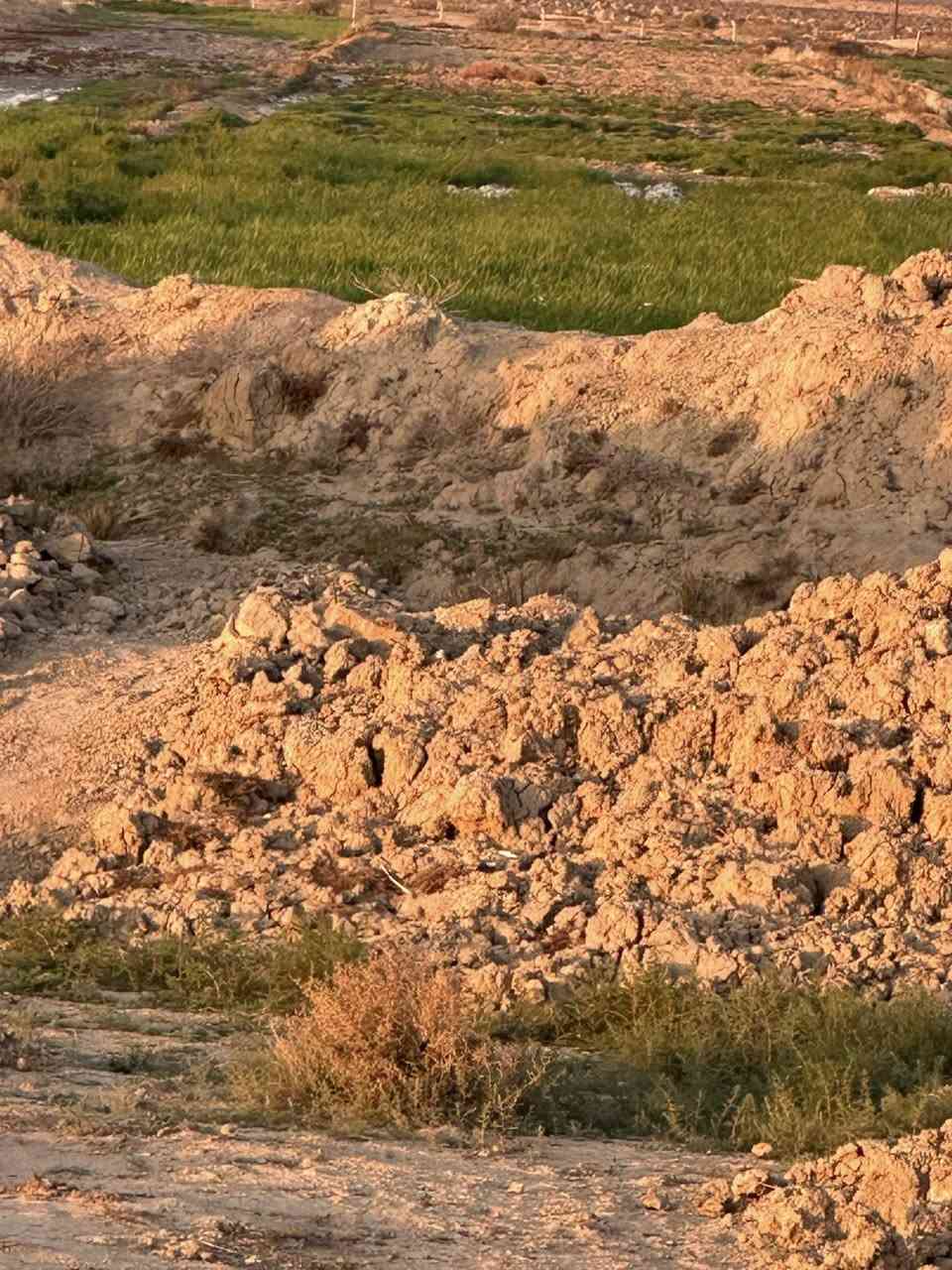 السلام عليكم ارض زراعيه. 
ماي وكهرباء. بنصها. 
محوله. كهرباء. بنصها. كاع كلها حلوه.وزراعيه 
عقد. زراعي. 
مكان. الكاع بين الرفاعي. ونصر. طريق كله. تبليط. قرب ناظم. رقم أربعه. 

مساحه. الأرض ٣٨ دونم. ***********
