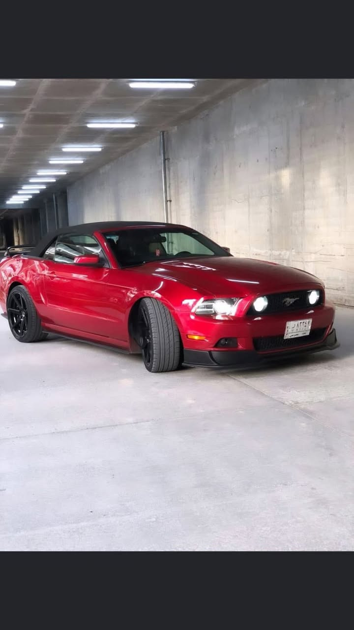 السلام عليكم شباب
Mustang gt premium 2013🐎❤️‍🔥
السياره فول مواصفات 
كشف شامو 

بريميوم 7 الوان / جلد شاشة معلومات بل دشبول انارة كيجات و انارة كلاصات وانارة تحت الرجل سستم صوت شيكر بلوتوث اتصال وتشغيل مو بس اتصال مثل العادية كشنات كهرباء
شاشه اندرويد 
تضليل امريكي 100‎%‎
گير اوتر 
لحيه RTR
دفيوزر وجنح شيلبي350
وياله فوزن نجمه قياس 20تو سايز 
السياره مفرغه وعليها داون بايب ستل ستيل 
عليها دبات ht power بوابات رموت تفتح وتسد حسب رغبتك نغمتها كلش حلوه ومابي دويه 
حلوك corsa

عليها فرمجه سيفتي كت اوف وطلقات برمجتها استعمال يومي 
صدر جديد تايرات جدد السياره كلها جديد مابيها اي نقوصات ومسويلها ادامه كامله 
ماشيه 68mi
حادثها صندوك وشويه بارد بل جاملخ الخلفي بامريكا وبلعراق صار بيها جاملغ امامي جهة السايق وايرباك الدركه طاك 
 
صور حادثها موجوده

مكاني بغداد اليرموك


**إذا كنت صاحب هذا الإعلان وتريد حذفه لأي سبب، رجاءا أرسل رسالة إلى الدعم الفني**