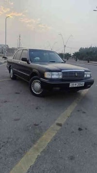 ارنب طويل موديل 1993 بأسمي سنويه 2030 كفاله كص ونقل جثه وعيب شرعية وضر...