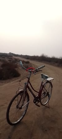 باسكل كامل • نظيف • خشوط قليل