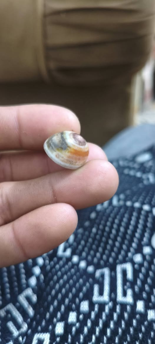 عطف بحري ملكط + خرزه نوع جزع
فضه عيار 925 
قيم وتشلع عيوني
خاص متواجد


**إذا كنت صاحب هذا الإعلان وتريد حذفه لأي سبب، رجاءا أرسل رسالة إلى الدعم الفني**