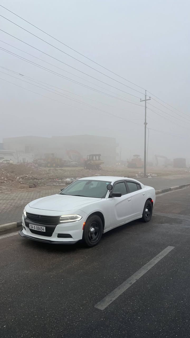 السلام عليكم
جارجر بوليسي 2 ويل  للبيع 
موديل 2023
حجم المحرك 5.7 v8
ماشية 50 الف
 حادث سيارة بنيد مبدل بسبب ضربه الدرع وجاملغ الايمن مصلح بارد ما مبدل بدون دواخل وصور الحادث مرفقه مواصفات البوليسي معروفه وسياره جديدة بمعنى الكلمة وجاهزة من كل شي يعني ماتعب المشتري وضايف اله شاشه جبيرة
سعر السيارة 225$ وبيه مجال بسيط 
العنوان البصرة دور شرطه شارع القائد قرب الاربع سايدات مال شارع السيد 
رقم الهاتف ***********
وهذا واتساب فقط ٠٧٧٢ ٥٩٧ ٤٦٦١
مكلف بالنشر
