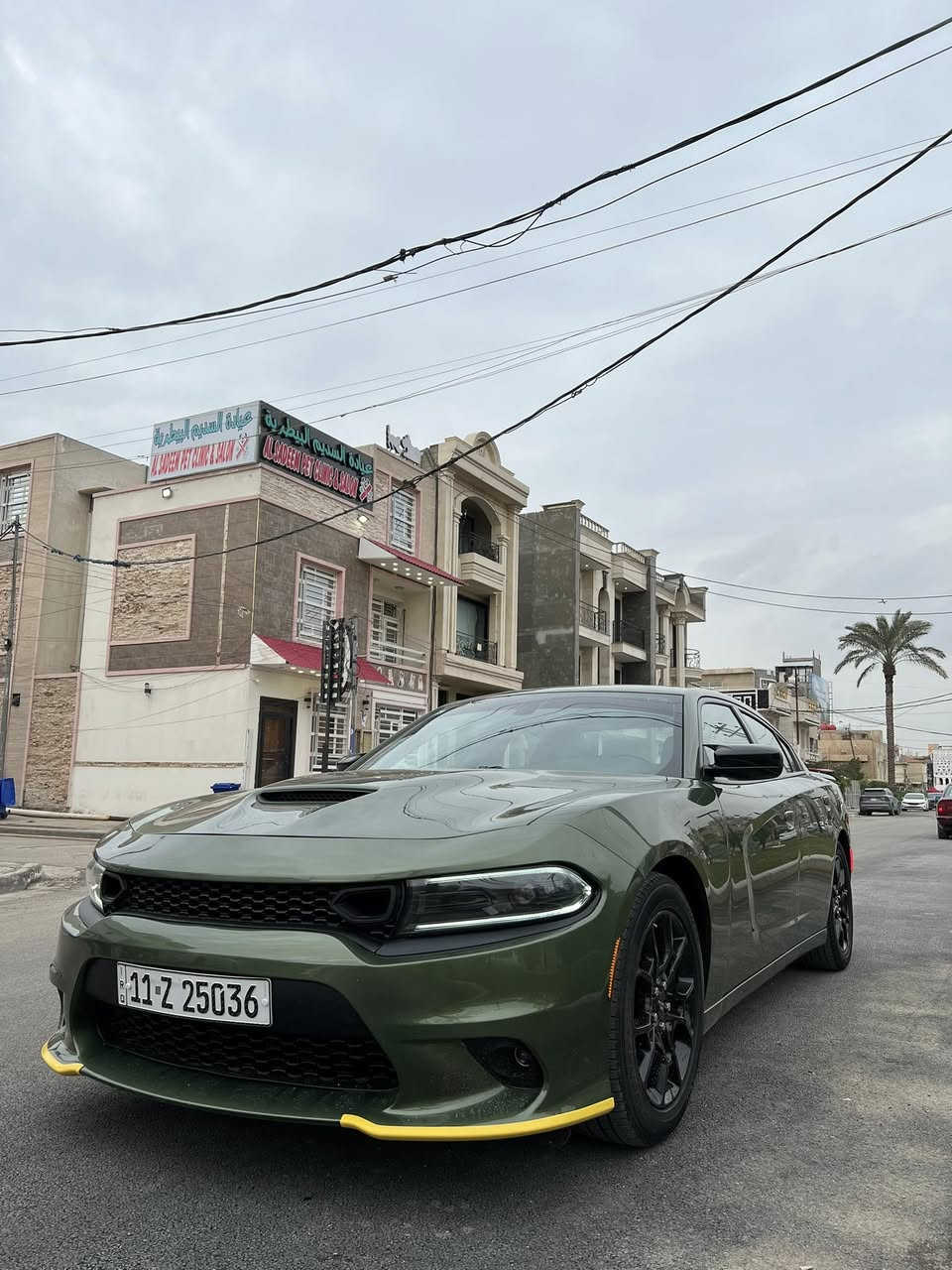 دودج جارجر وارد امريكي 2022 SXT لون مميز رقم بغداد الدولي الجديد باسمي سنوية وهزة جديدة السيارة جديدة بمعنى الكلام ماشية 50 الف كاملة بدون نقص سوبر تراك باك بجم محدث GT شاشة كبيرة تحكمات ستيرن جهتين شفتات ستيرن تشغيل عن بعد  كشن حضن كشن كهرباء رادار وحساس امامي وخلفي ممتعوبة عليها ادامة كاملة استخدام شخصي حادثها فقط بنيد بدون ايرباك 

السعر 220 وبيها مجال 
هاتف *********** 
العنوان بغداد المنصور
