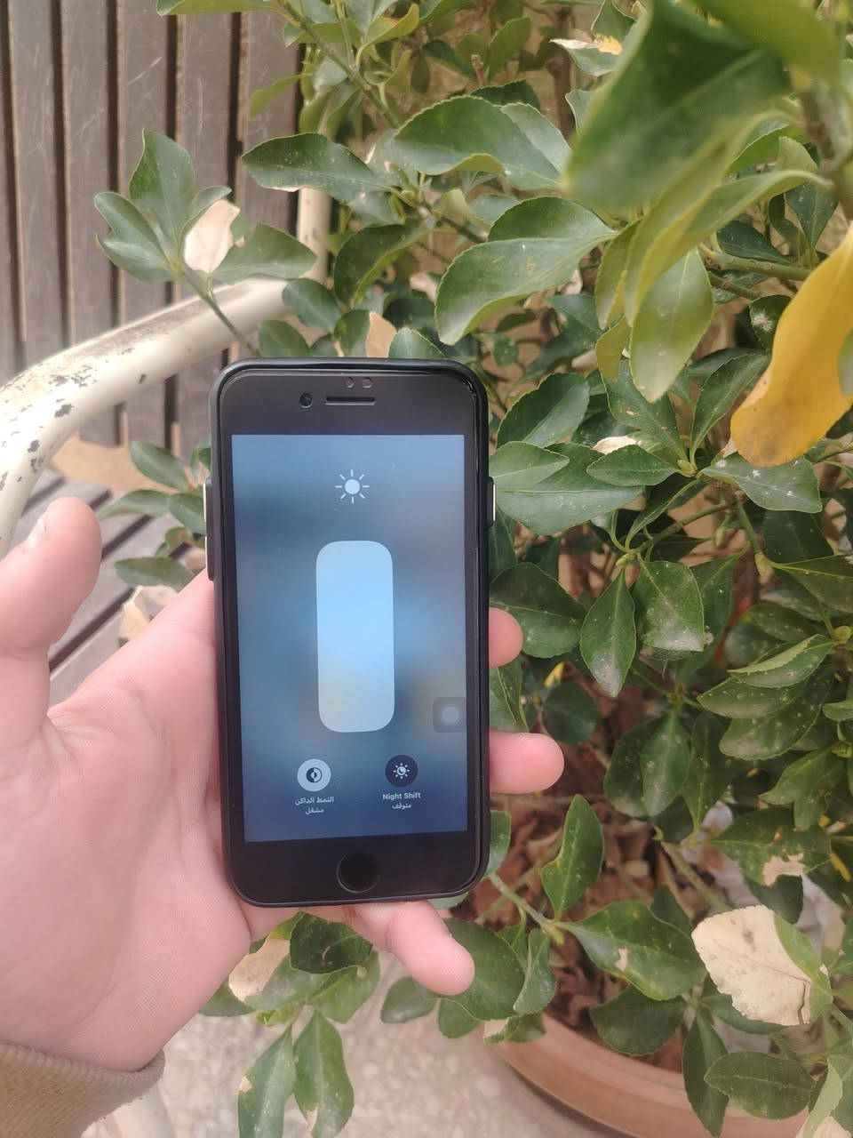 نكسب صلاه على نبي
موجود ايفون7عادي
مواصفات
مساحه 32 قيقا
بطاريه 100 اصليه على الفحص
الجهاز وكاله أغراض الجهاز
شاحن  و عضمه وسماعه و كفرين وكفرين وكفاله شهر كامل
الجهاز كل اشي في شغال معاد
البصمه و مابشغل خط فقط كل أمور الباقي تمام  للبيع بسعر حرق 21 دينار منهي للتواصل علا رقم 0798412351


**إذا كنت صاحب هذا الإعلان وتريد حذفه لأي سبب، رجاءا أرسل رسالة إلى الدعم الفني**