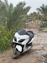 شغالة • رايده ترتيب • شامية