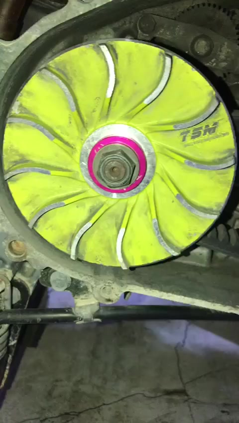 سكنس فحل للبيع 63 مزوده دراجه شلعه ومعدل شك الكاع شوفت عينك دراجه جديد تزويد كله رياضي السعر خاص او تصل ***********
