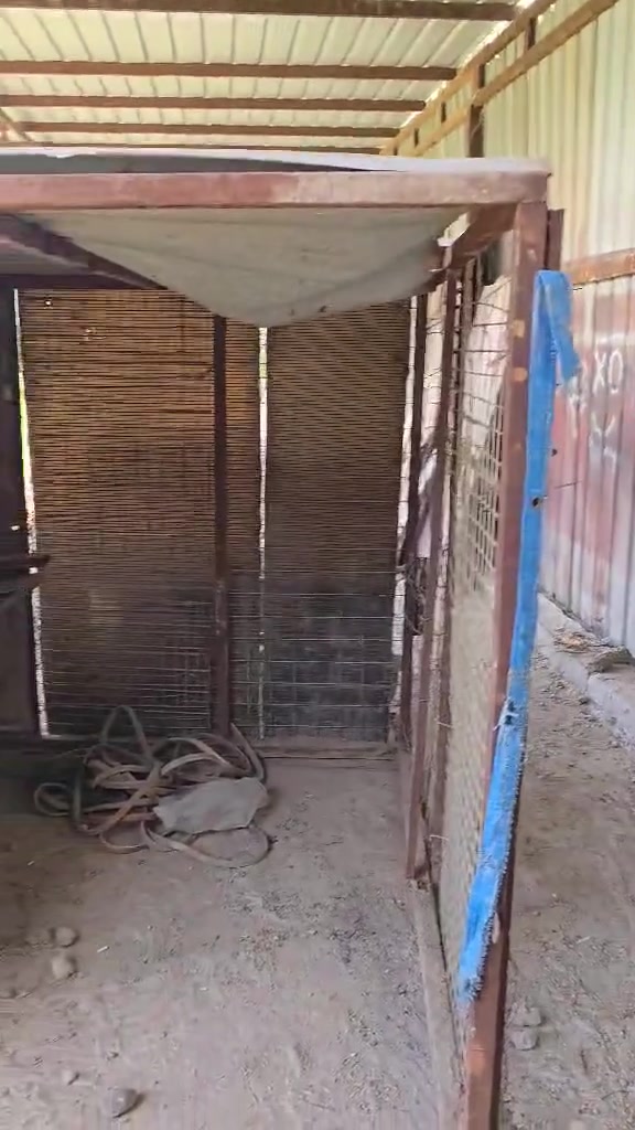 قفص حديد للبيع 75 الف


**إذا كنت صاحب هذا الإعلان وتريد حذفه لأي سبب، رجاءا أرسل رسالة إلى الدعم الفني**