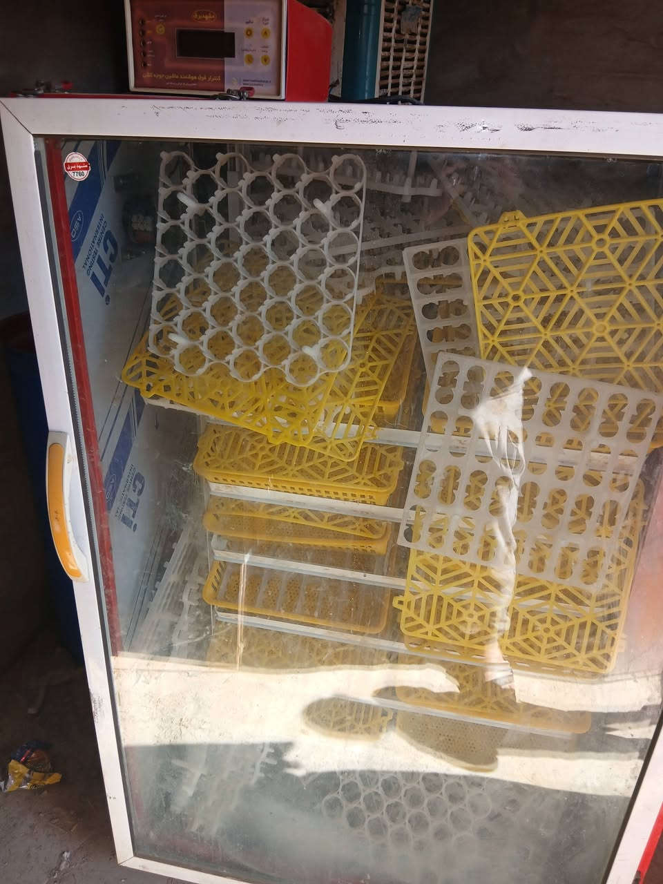 فقاسه البيع اتشيل الف 200 بيضه شغاله كامله اي عيب مابيهه السعر 750 وبيهه مجال قليل الاستفسار ***********
