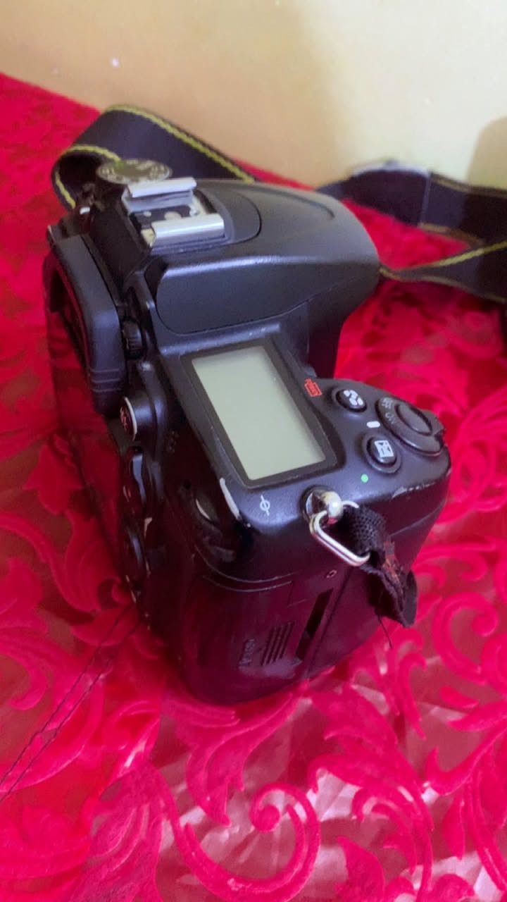 للبيع كاميرا نيكون D7000 مع عدّة كاملة
📍 موديل: Nikon D7000 DSLR
📸 الحالة: مستعملة بس بحالة جيدة
🎒 تشمل:

جسم كاميرا Nikon D7000
ذاكرة 64 GB
ستاند ثلاثي (ترايبود)
عدسه (50) ملم 
ستاند أحادي (مونوبود)
بطارية وحدة + شاحن
أدابتير/كابل نقل صور
شنطة للكاميرا

السعر: (600 وبيها مجال)
للتواصل: رقم هاتفك/واتساب)
المنطقة: الناصرية / العراق
يوجد توصيل


**إذا كنت صاحب هذا الإعلان وتريد حذفه لأي سبب، رجاءا أرسل رسالة إلى الدعم الفني**