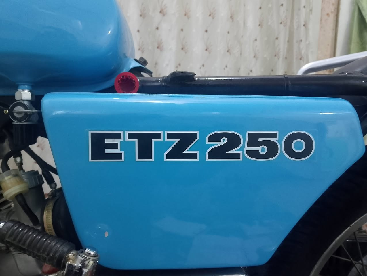 من رخصت مدير الكروب السلام عليكم جنايه كشر لبيع كشر جديد كلش وصبغه جديده وقطره معجون ما بي ابيعه بدون قبق بانزين يوجد توصيل لجميع المحافظات العراق رقم الهاتف ***********
