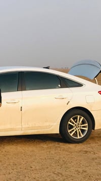 ويل سوناتا • حجم ١٦ • جديد