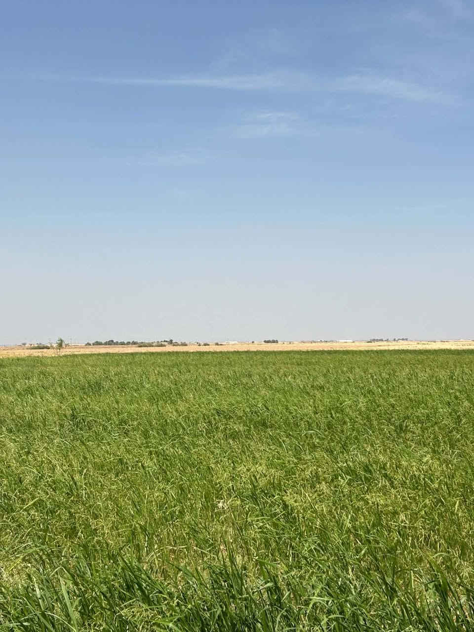 ٧٠ دونم للبيع سند 25 تحويل مباشر


**إذا كنت صاحب هذا الإعلان وتريد حذفه لأي سبب، رجاءا أرسل رسالة إلى الدعم الفني**
