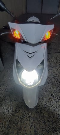 سكنس فحل • الحسنيه راشديه • فيديو