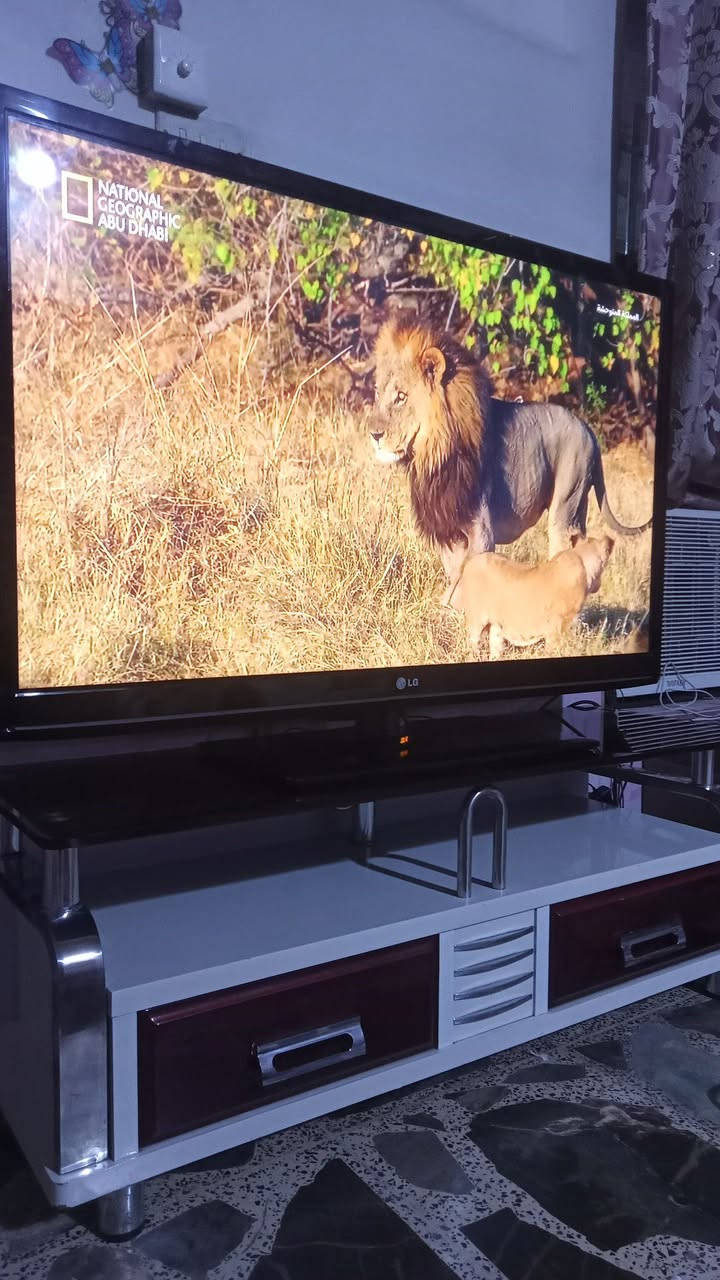 السعر 150
الميز مع البلازمة حجم 52 نوع LG 
ما ابيع التلفزيون وحدة 
التلفزيون ابدا ما مصلحتة سبب البيع الانتقال من الدار 
العنوان بغداد الشعب 
الي يجي يفحصة ويشغلة وياخذة ما عدنا توصيل


**إذا كنت صاحب هذا الإعلان وتريد حذفه لأي سبب، رجاءا أرسل رسالة إلى الدعم الفني**