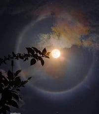 🌸 في روضة حلم بغداد ((Dream Baghdad))…  تبدأ الحكاية الجميلة 🌸 تعلن رو...