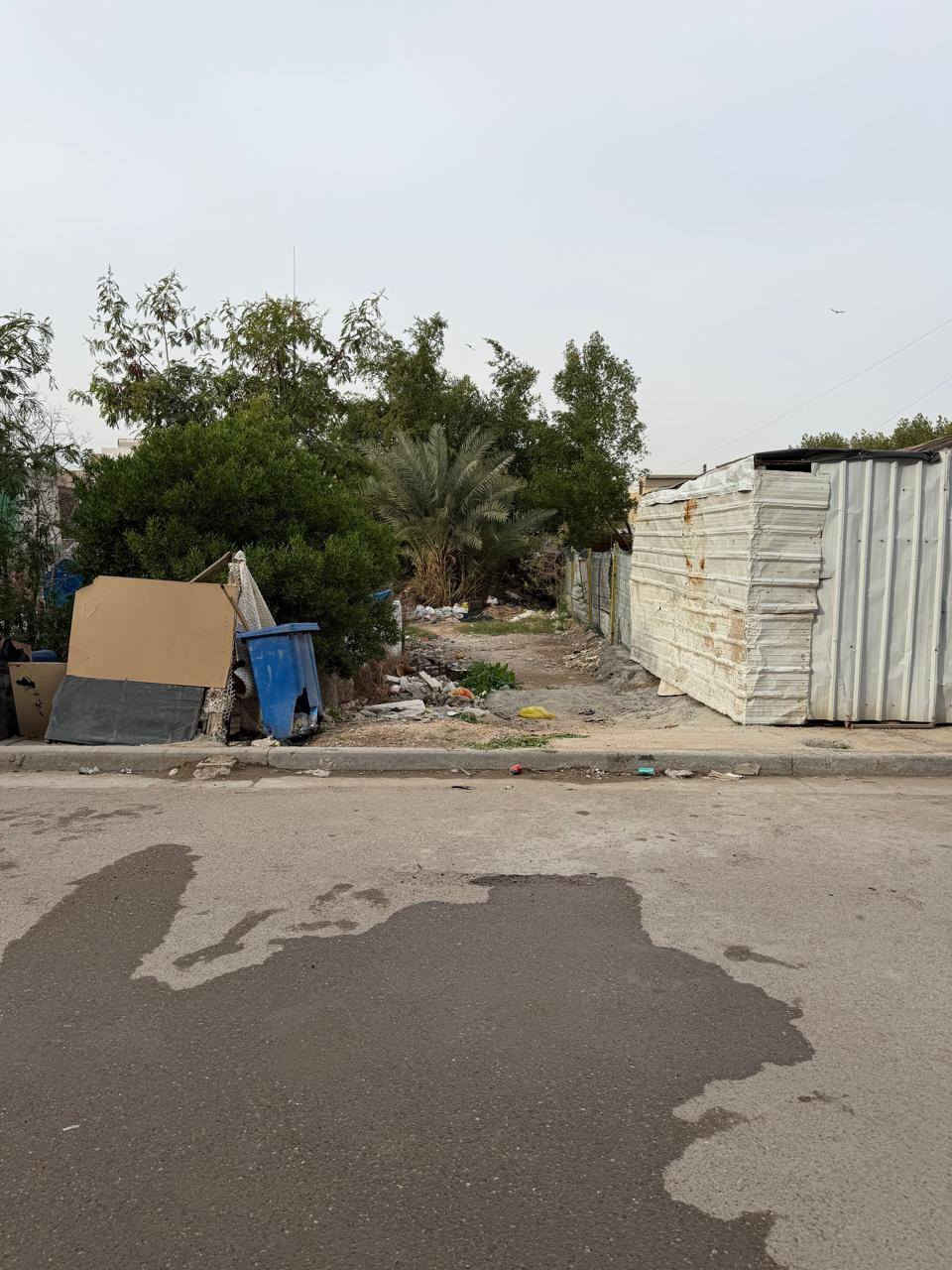 السلام عليكم ٥٠ متر للبيع هياكل مقابيل بيت تشجير قريب خط سريع سيديه رقم داخل صور
