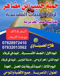 الناصرية • ٨ مقاعد • باجر