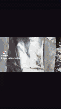 خياطة وكوي الشورة الفنية   *تقريم كافة انواع الملابس  *كوي بالبخار بأح...