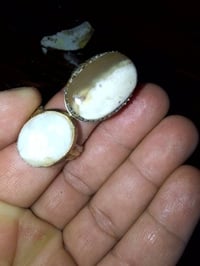 خواتم عطف حر شرط اصلي طبيعي رباني ثنينهم بسعر 20 مع التوصيل ‏‪07874574...