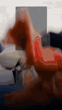 شوفولي هذا الاوتي مو شرط تشترون... //جودة كولش عالية ننطيكم ضمان الفحص...