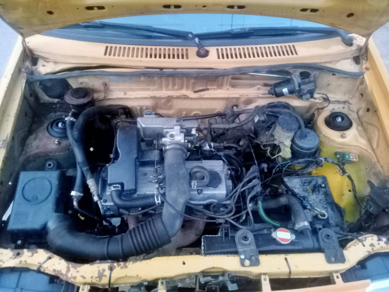 سلام عليكم سايبا موديل 2012 رقم احمر سنويه عضم عاج بدون راعي بدون راعي بدون راعي اتكفل سرقه وعشاير سياره محرك  مال موديل 16 شادهة الهة جديده كلش كير صدر درامشفتات جداد بوربرينات صدر تايرات كله جديد  مكان بغداد
رقم ***********
المو شري لا يخابر سعر مليون 350
