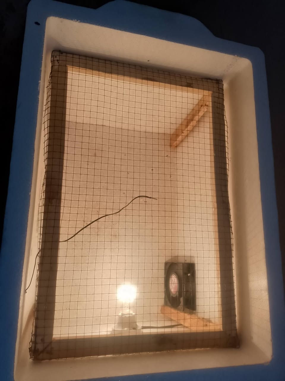 السلام عليكم فقاصه للبيع حرارة توماتيك تقليب يدوي تأخذ من ٩٠ إلى ٩٥ بيضه السعر ٧٥ بي  مجال ***********
