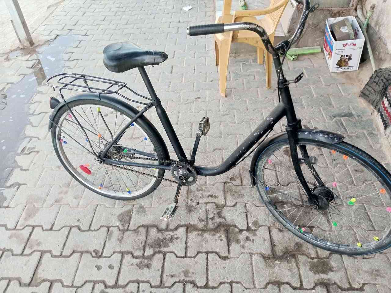 باسكلات عدد 2 ياباني جاهزات
اللبيع سهرهن مناسب جدا ***********

