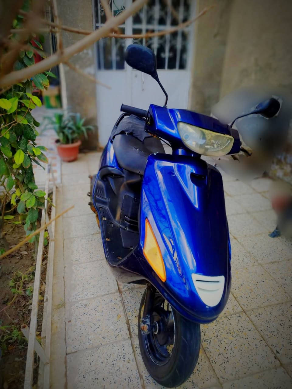 سلام: عليكم 
دراجه:للبيع 
دراجه:نضيفه 
مكاني :الحله 
السعر 300 وبيها مجال 
الرقم الهاتف:***********
          (الشراي يتصل غير موجود علئ نت )
